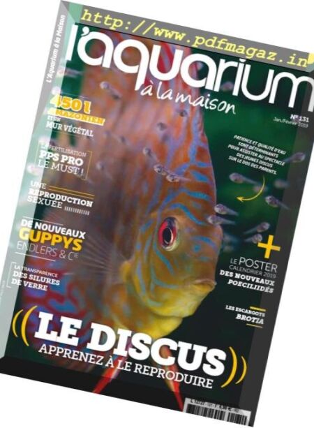 l’Aquarium a la Maison – janvier-fevrier 2019 Cover
