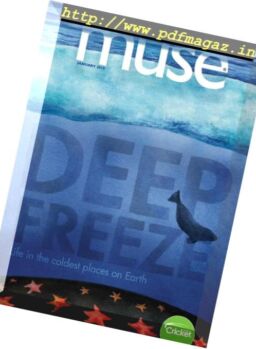 Muse – January 2019