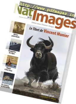 Nat’Images – decembre 2018