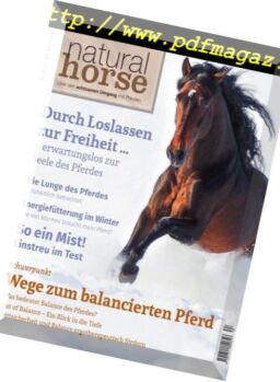 Natural Horse – Nr4, 2018