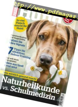 Partner Hund – Marz 2019