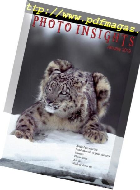 Photo Insights – January 2019 Cover
