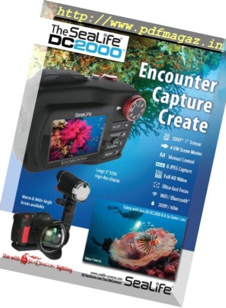 Scuba Diver – January 2019 Cover