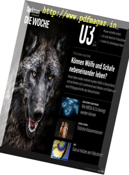 Spektrum Die Woche – 18 Januar 2019 Cover
