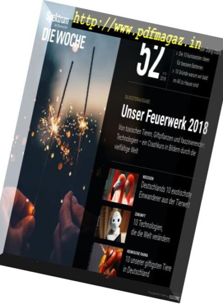 Spektrum Die Woche – 28 Dezember 2018 Cover