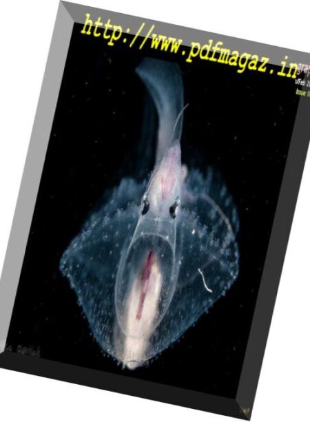 Underwater Photography – January-February 2019 Cover