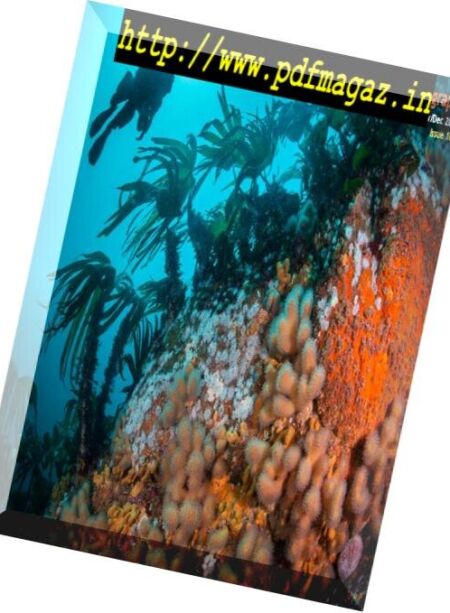 Underwater Photography – November-December 2018 Cover