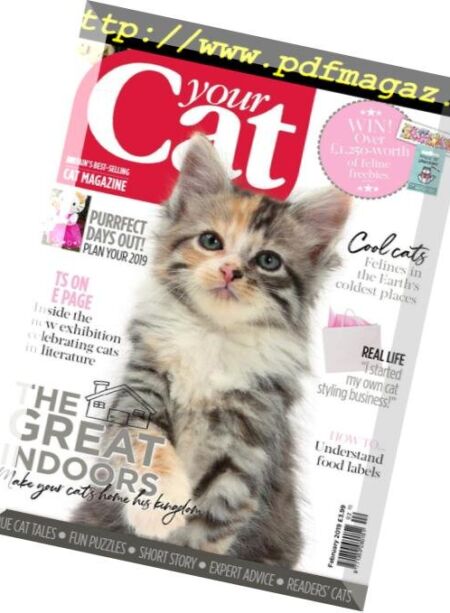 Your Cat – February 2019 Cover