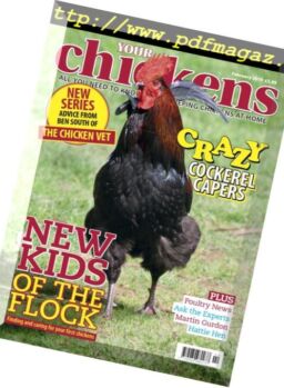 Your Chickens – February 2019