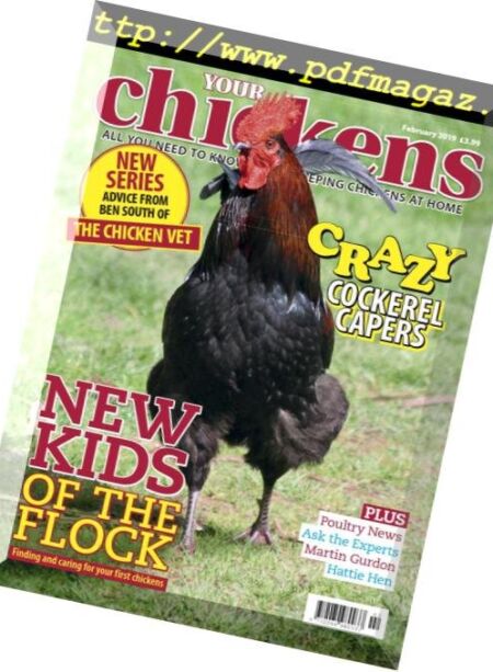 Your Chickens – February 2019 Cover