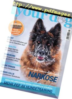 Your Dog Austria – November-Dezember 2018