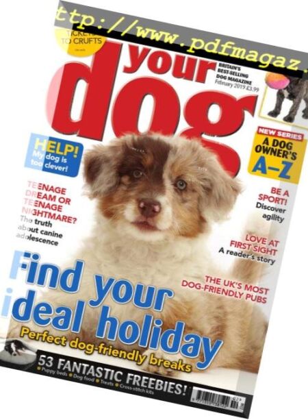 Your Dog – February 2019 Cover