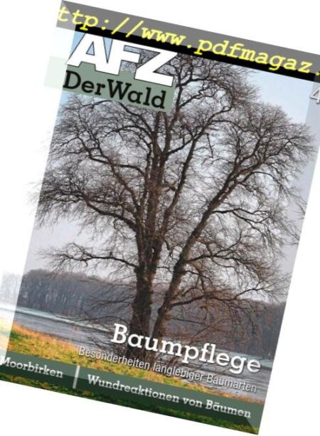 AFZ-DerWald – 08 Februar 2019 Cover