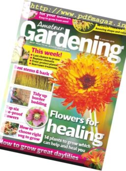 Amateur Gardening – 29 January 2019