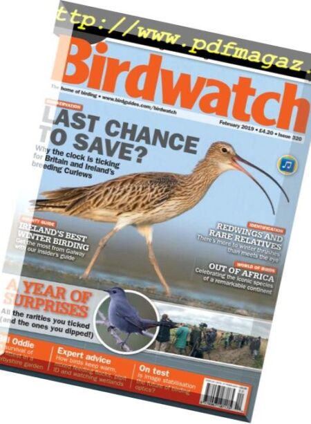 Birdwatch UK – February 2019 Cover