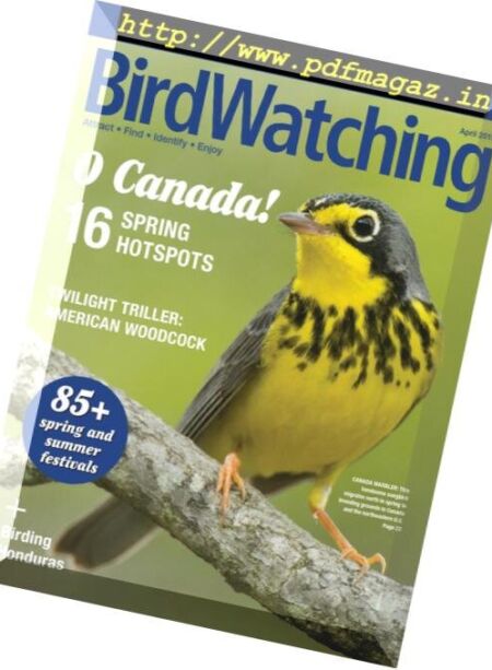 BirdWatching USA – March-April 2019 Cover