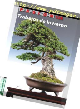 Bonsai Pasion – febrero 2019