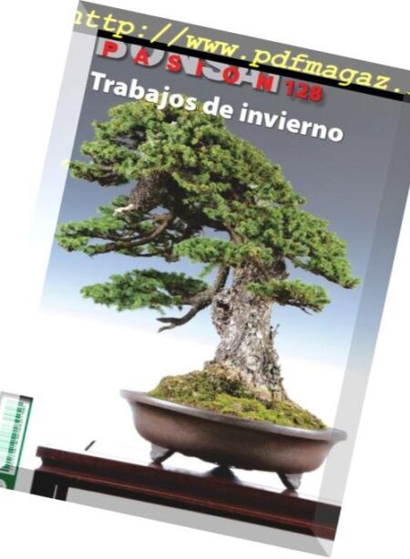 Bonsai Pasion – febrero 2019 Cover
