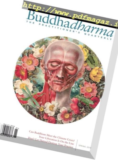 Buddhadharma – January 2019 Cover