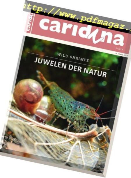 Caridina – Nr1, 2019 Cover