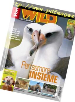 Focus Wild – marzo 2019