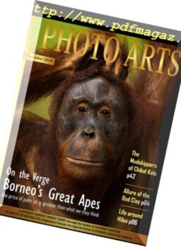 Indian Photo Arts – November 2018