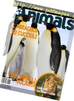 Nature & Animals – Gennaio-Marzo 2019