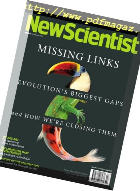 New Scientist – 16 February 2013 Cover