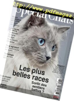 Special Chats – janvier 2019