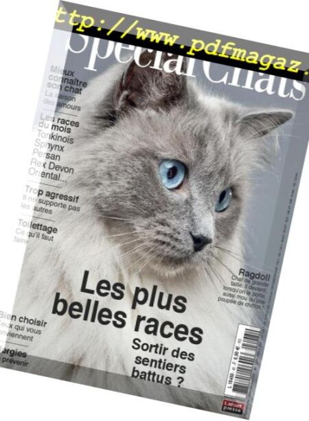 Special Chats – janvier 2019 Cover