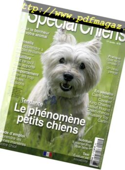 Special Chiens – janvier 2019