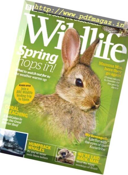 BBC Wildlife – April 2019 Cover
