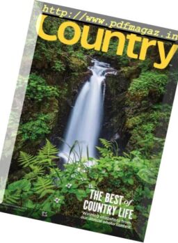 Country – January-February 2019
