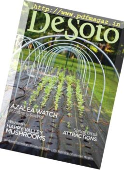 DeSoto Magazine – March 2019