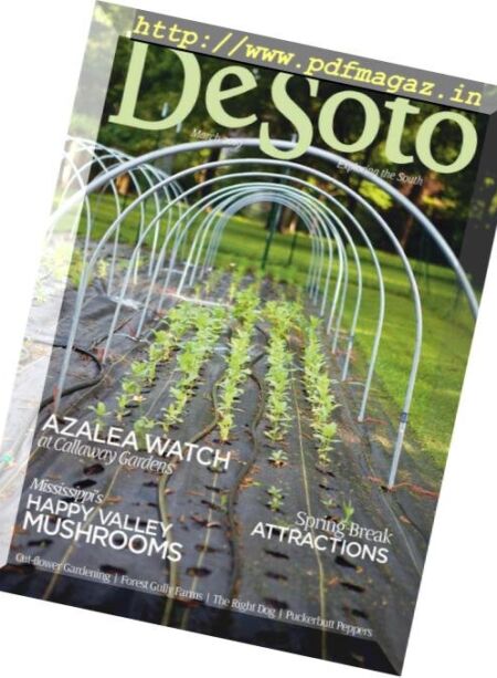 DeSoto Magazine – March 2019 Cover