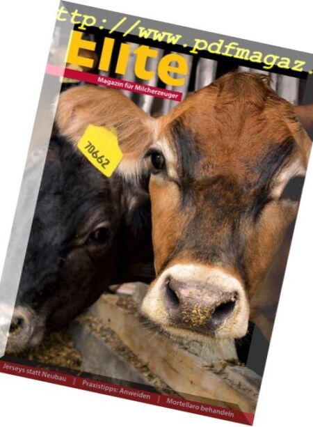 Elite – Februar 2019 Cover