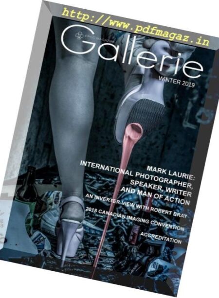 Gallerie Magazine – Winter 2018-2019 Cover