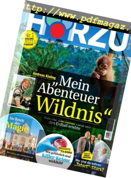 HOrzu – 8 Marz 2019 Cover