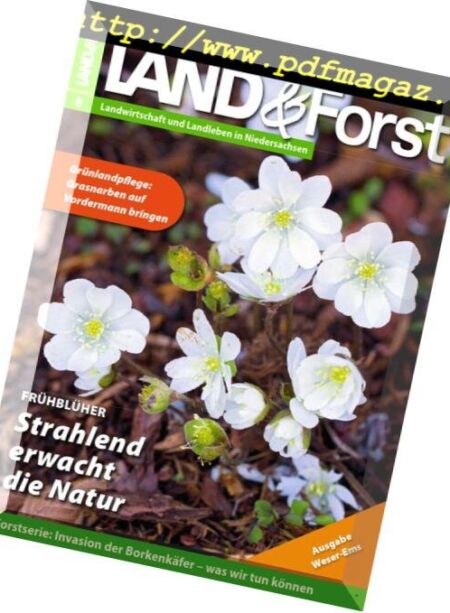 Land & Forst Weser Ems – 19 Februar 2019 Cover
