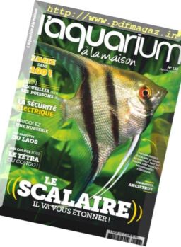 l’Aquarium a la Maison – mars-avril 2019