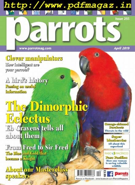 Parrots – April 2019 Cover