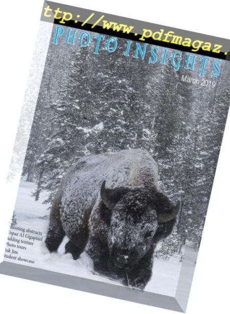 Photo Insights – March 2019 Cover