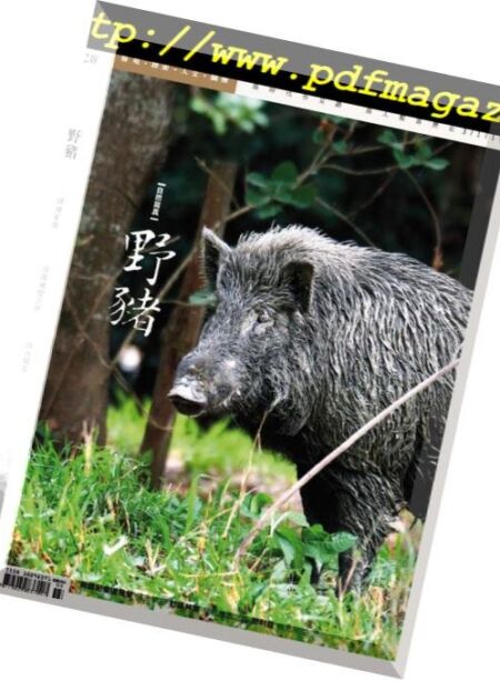 Rhythms Monthly – 2019-02-01 Cover