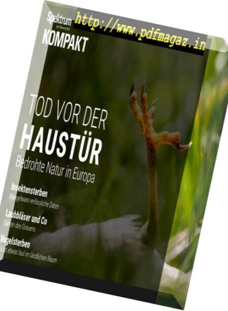 Spektrum Kompakt – Marz 2019 Cover