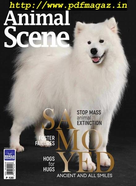 Animal Scene – February 2019 Cover