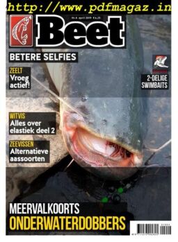 Beet – April 2019