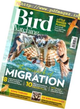 Bird Watching UK – April 2019