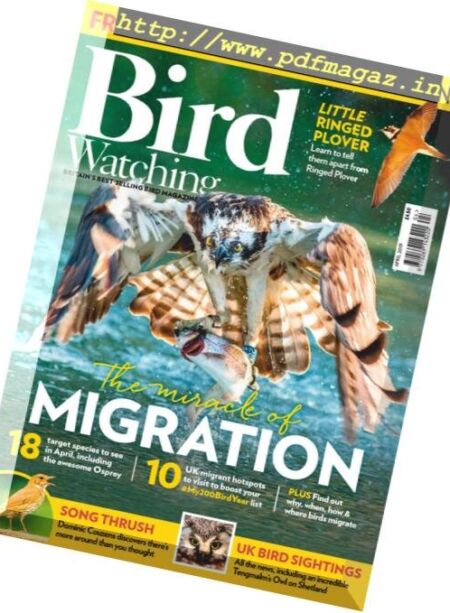 Bird Watching UK – April 2019 Cover