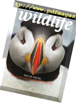 Canadian Wildlife – January-February 2019