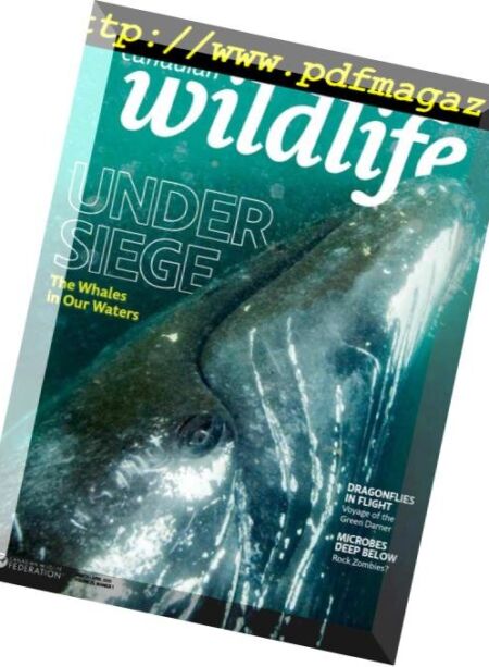 Canadian Wildlife – March-April 2019 Cover